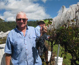 Razorback Ridge Wines - New Castle Holiday 8