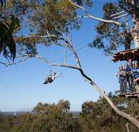 TreeTop Safari - New Castle Holiday