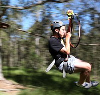 TreeTop Adventure Park Sydney - New Castle Holiday