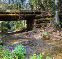 Myrtle Scrub scenic drive - New Castle Holiday