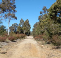 Werakata National Park - New Castle Holiday