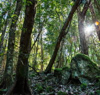 Copeland Tops State Conservation Area - New Castle Holiday