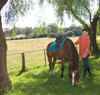 Sugarloaf Horse Centre - New Castle Holiday