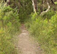 Three Views walking track - New Castle Holiday