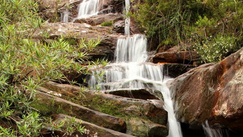 Popran National Park - New Castle Holiday 1