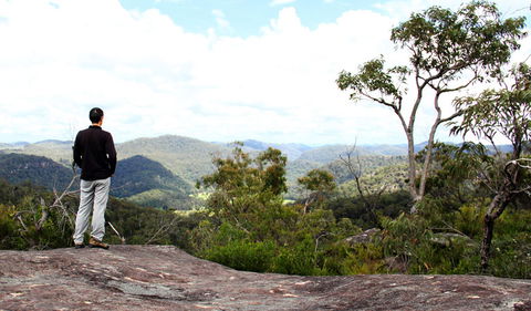 Popran National Park - New Castle Holiday 0