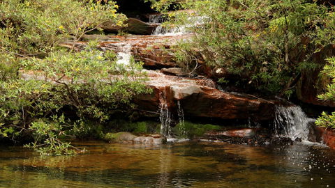 Popran National Park - New Castle Holiday 2