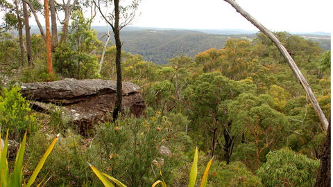 Popran National Park - New Castle Holiday 3