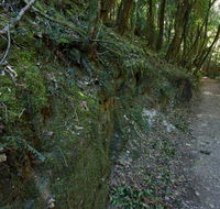 Hidden Treasure track - New Castle Holiday