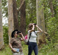 Chichester State Forest - New Castle Holiday