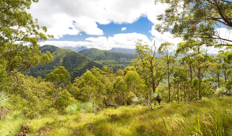 Sawpit Creek ACT New Castle Holiday