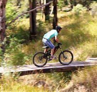 The Steps Mountain Bike Park - New Castle Holiday