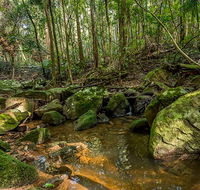 Palm Grove Nature Reserve - New Castle Holiday