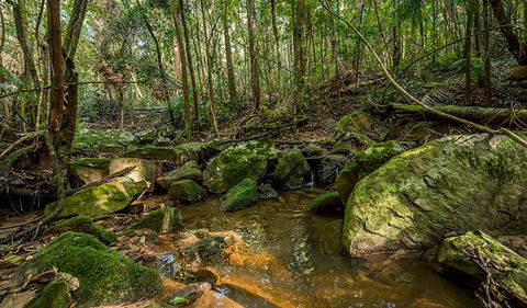 Palm Grove Nature Reserve - New Castle Holiday 0