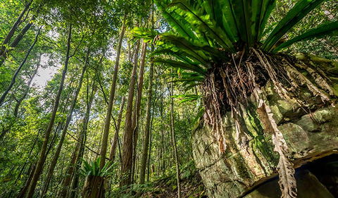 Palm Grove Nature Reserve - New Castle Holiday 1
