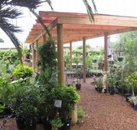 Country Elegance Gardens and Gifts - New Castle Holiday
