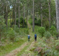 The Green Gully track - New Castle Holiday