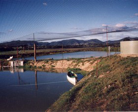 Trudgalong Farm - New Castle Holiday 1