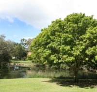 Hervey Bay Botanic Gardens - New Castle Holiday