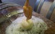 East Gippsland Wines - thumb 4