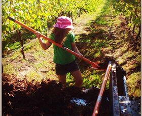 East Gippsland Wines - New Castle Holiday 5