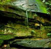 Strickland State Forest - New Castle Holiday