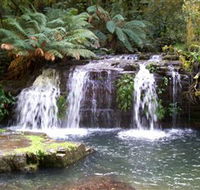 Barrington Tops National Park Walks - New Castle Holiday
