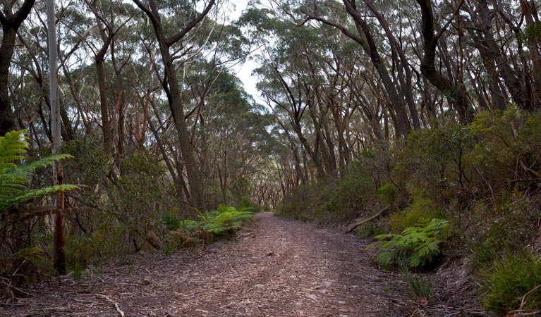 Yadboro NSW New Castle Holiday