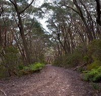 Budawang National Park - New Castle Holiday