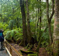 Monga National Park - New Castle Holiday