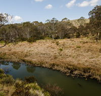 Werrikimbe National Park - New Castle Holiday