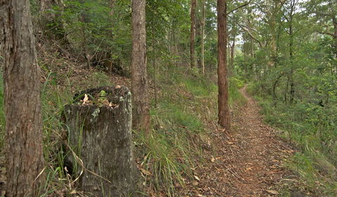 Border Loop Walk - New Castle Holiday 0