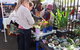 Glebe Markets - thumb 3