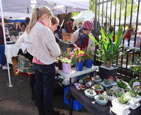 Glebe Markets - New Castle Holiday 3