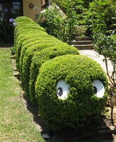 Nutcote - May Gibbs' Home - House Museum - New Castle Holiday 0