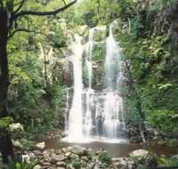 Budderoo National Park - The Falls Walk - New Castle Holiday