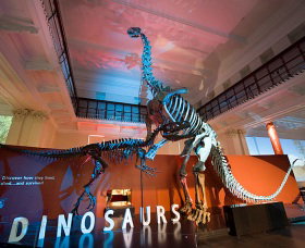 Australian Museum - New Castle Holiday 0