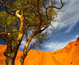 The Artery Aboriginal Art - New Castle Holiday 2