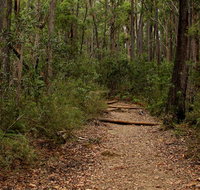Pigeon House Mountain Didthul walking track - New Castle Holiday