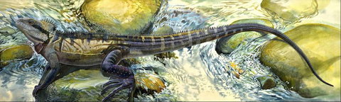 Manning Regional Art Gallery - New Castle Holiday 4