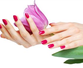 Organica Day Spa - New Castle Holiday 2