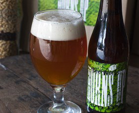 HopDog Beer Works Brewery - New Castle Holiday 1