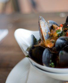 4 Pines Brewing Company - New Castle Holiday 7