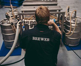 4 Pines Brewing Company - New Castle Holiday 8