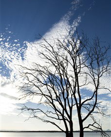 Nudgee Beach QLD New Castle Holiday