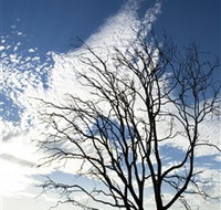 Nudgee Beach - New Castle Holiday