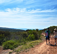 Moonee Beach trail - New Castle Holiday