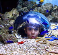 Sea Life Sunshine Coast - New Castle Holiday