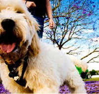 Tuckeroo Park - New Castle Holiday