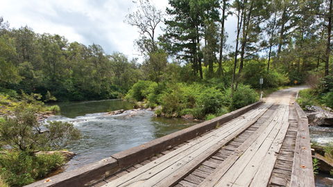 Nymboi-Binderay National Park - New Castle Holiday 2